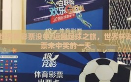 世界杯彩票没中-逗趣足球之旅，世界杯彩票未中奖的一天