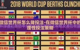 微信世界杯怎么赌投注-在微信世界杯中的理性投注策略