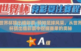 世界杯猜出组彩票-预知足球风采，从世界杯猜出组彩票中挖掘赛果的奥秘