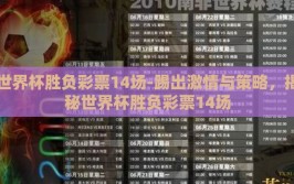 世界杯胜负彩票14场-踢出激情与策略，揭秘世界杯胜负彩票14场
