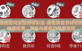 微信如何买世界杯彩票-微信购世界杯彩的快捷指南，安全与便民的双重选择