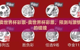 卖世界杯彩票-卖世界杯彩票，预测与激情的碰撞