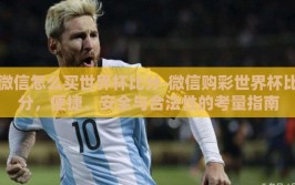 微信怎么买世界杯比分-微信购彩世界杯比分，便捷、安全与合法性的考量指南