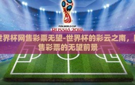 世界杯网售彩票无望-世界杯的彩云之南，网售彩票的无望前景