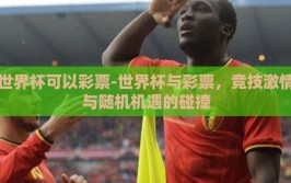 世界杯可以彩票-世界杯与彩票，竞技激情与随机机遇的碰撞