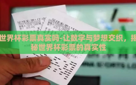 世界杯彩票真实吗-让数字与梦想交织，揭秘世界杯彩票的真实性