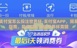支付宝怎么投注世界杯-支付宝APP，简易指南，助你轻松玩转世界杯竞猜