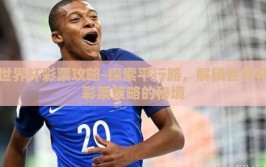 世界杯彩票攻略-探索平行路，解锁世界杯彩票策略的秘境