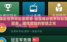 体彩世界杯彩票赔率-窥探体彩世界杯彩票赔率，理性冒险的智慧之光