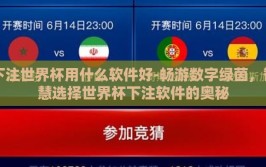 下注世界杯用什么软件好-畅游数字绿茵，智慧选择世界杯下注软件的奥秘