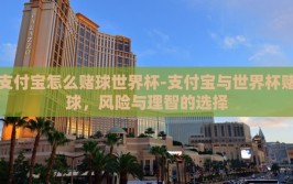 支付宝怎么赌球世界杯-支付宝与世界杯赌球，风险与理智的选择
