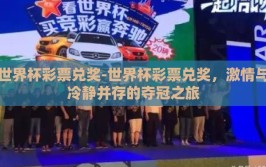 世界杯彩票兑奖-世界杯彩票兑奖，激情与冷静并存的夺冠之旅
