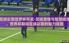 足球彩票世界杯开奖-足球激情与智慧碰撞，世界杯期间足球彩票的魅力绽放