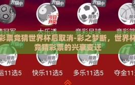 彩票竞猜世界杯后取消-彩之梦断，世界杯竞猜彩票的兴衰变迁