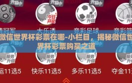 微信世界杯彩票在哪-小栏目，揭秘微信世界杯彩票购买之道