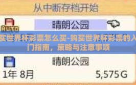 买世界杯彩票怎么买-购买世界杯彩票的入门指南，策略与注意事项