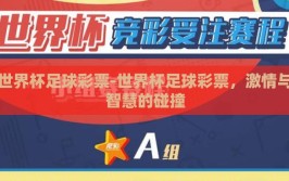 世界杯足球彩票-世界杯足球彩票，激情与智慧的碰撞
