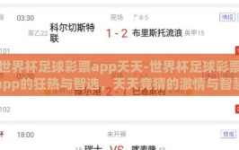 世界杯足球彩票app天天-世界杯足球彩票app的狂热与智选，天天竞猜的激情与智慧