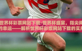 世界杯彩票网站下载-世界杯盛宴，指尖间的幸运——解析世界杯彩票网站下载的实用攻略
