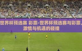 世界杯预选赛 彩票-世界杯预选赛与彩票，激情与机遇的碰撞