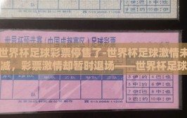 世界杯足球彩票停售了-世界杯足球激情未减，彩票激情却暂时退场——世界杯足球彩票停售实录
