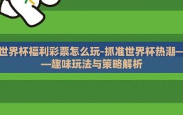 世界杯福利彩票怎么玩-抓准世界杯热潮——趣味玩法与策略解析