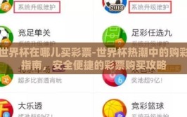 世界杯在哪儿买彩票-世界杯热潮中的购彩指南，安全便捷的彩票购买攻略