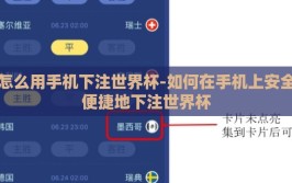 怎么用手机下注世界杯-如何在手机上安全便捷地下注世界杯