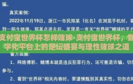 支付宝世界杯怎样赌球-支付宝世界杯，数字化平台上的足坛盛宴与理性赌球之道