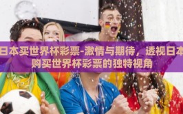 日本买世界杯彩票-激情与期待，透视日本购买世界杯彩票的独特视角
