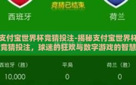 支付宝世界杯竞猜投注-揭秘支付宝世界杯竞猜投注，球迷的狂欢与数字游戏的智慧