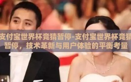 支付宝世界杯竞猜暂停-支付宝世界杯竞猜暂停，技术革新与用户体验的平衡考量