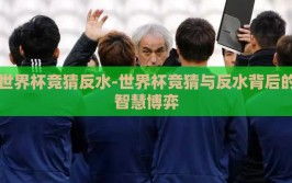 世界杯竞猜反水-世界杯竞猜与反水背后的智慧博弈
