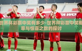 世界杯彩票中奖有多少-世界杯彩票中奖概率与惊喜之数的探讨
