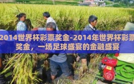 2014世界杯彩票奖金-2014年世界杯彩票奖金，一场足球盛宴的金融盛宴