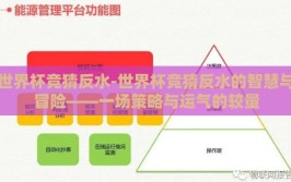 世界杯竞猜反水-世界杯竞猜反水的智慧与冒险——一场策略与运气的较量