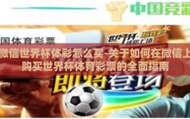微信世界杯体彩怎么买-关于如何在微信上购买世界杯体育彩票的全面指南