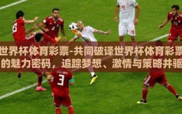 世界杯体育彩票-共同破译世界杯体育彩票的魅力密码，追踪梦想、激情与策略并驱