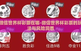 微信世界杯彩票在哪-微信世界杯彩票的玩法与风险洞悉