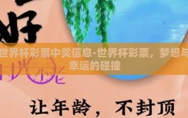世界杯彩票中奖信息-世界杯彩票，梦想与幸运的碰撞