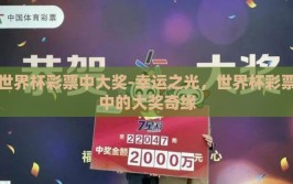 世界杯彩票中大奖-幸运之光，世界杯彩票中的大奖奇缘