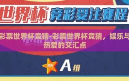 彩票世界杯竞猜-彩票世界杯竞猜，娱乐与热爱的交汇点