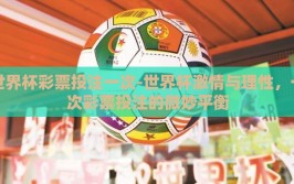 世界杯彩票投注一次-世界杯激情与理性，一次彩票投注的微妙平衡
