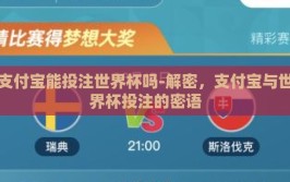 支付宝能投注世界杯吗-解密，支付宝与世界杯投注的密语