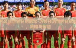 怎么赌世界杯的冠军-巧妙预测世界杯冠军，策略与智慧