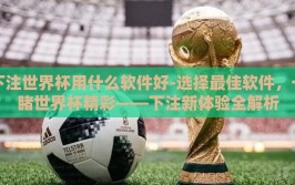 下注世界杯用什么软件好-选择最佳软件，一睹世界杯精彩——下注新体验全解析