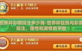 世界杯彩票投注多少钱-世界杯狂热与彩票投注，理性和激情的平衡