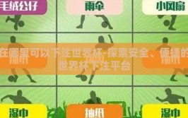 在哪里可以下注世界杯-探索安全、便捷的世界杯下注平台