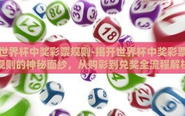 世界杯中奖彩票规则-揭开世界杯中奖彩票规则的神秘面纱，从购彩到兑奖全流程解析
