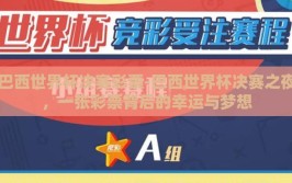 巴西世界杯决赛彩票-巴西世界杯决赛之夜，一张彩票背后的幸运与梦想
